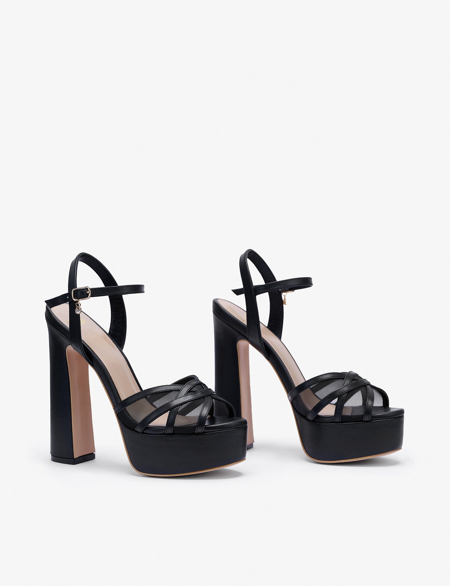DELPHINE Platform 147MM