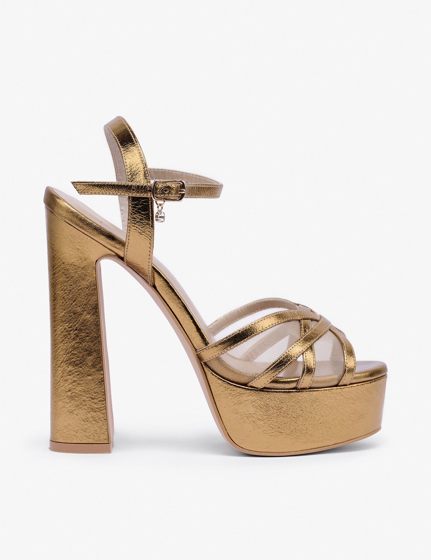 DELPHINE Platform 147MM
